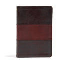 NIV Holman Rainbow Study Bible-Saddle Brown Leathertouch Indexed