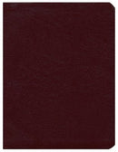 KJV Dake Annotated Reference Bible-Burgundy Bonded Leather