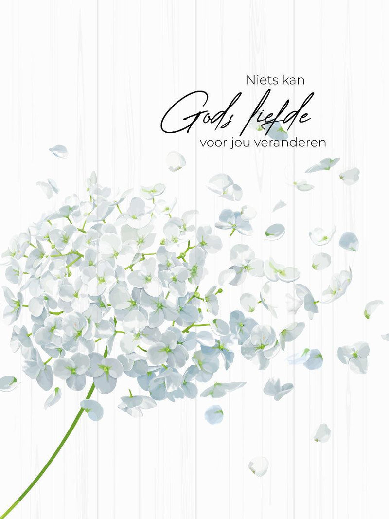 Niets kan Gods liefde voor jou veranderen Wandbord