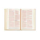 NLT Compact Bible: Casablanca Theme