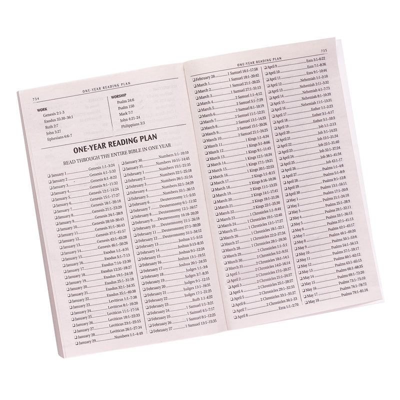 KJV Bible Outreach Softcover, Gold
