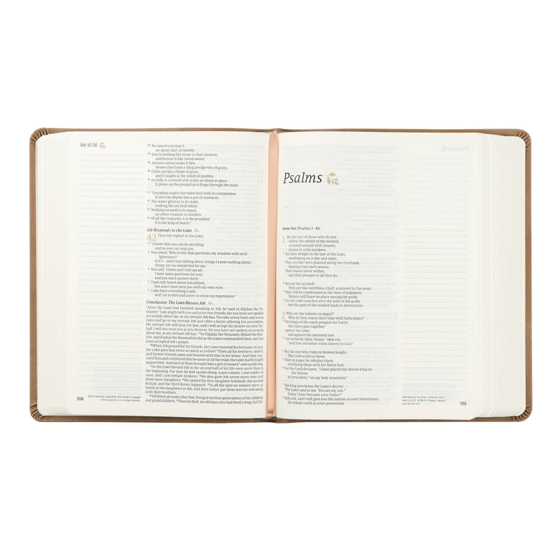 NLT Notetaking Bible: Galilea-thema