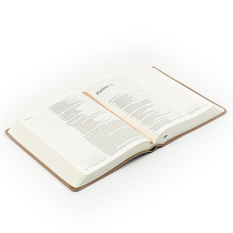 NLT Notetaking Bible: Galilea-thema