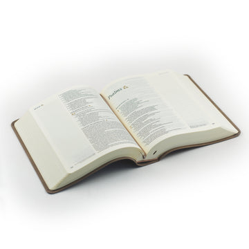 NLT Notitiebijbel: Marlo-thema