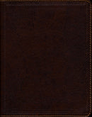 Journal the Word Bible