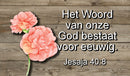 Het Woord v onze God bestaat voor eeuwig