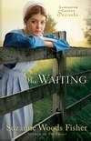 The Waiting (Lancaster County Secrets Book 2)