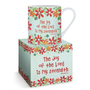 De vreugde van de Heer