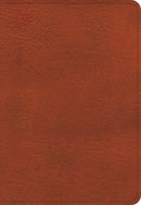 KJV Large Print Compact Reference Bible-Burnt Sienna LeatherTouch