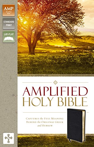 Amplified Thinline Holy Bible