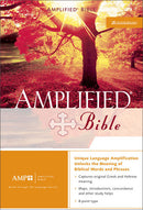 Amplified Bible