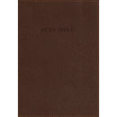Foundation Study Bible - brown