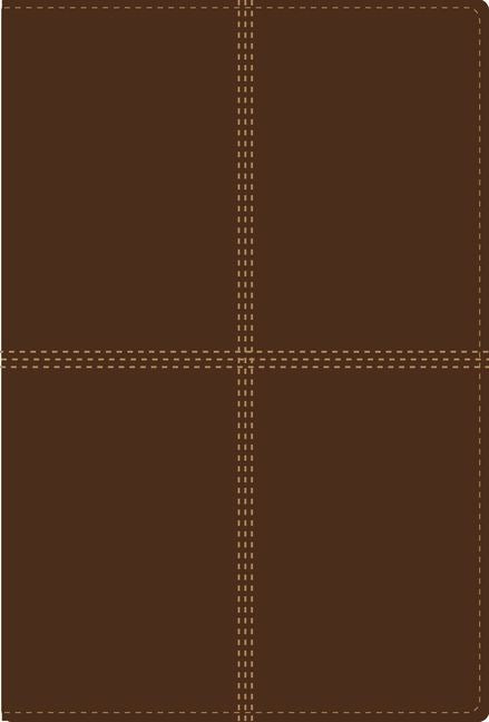 Span-RVR 1960/NIV*Bilingual Bible-Tan DuoTone 