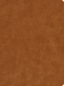 CSB Lifeway Women's Bible-Butterscotch Genuine Leather Indexed