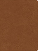 CSB He Reads Truth Bible-Saddle LeatherTouch Indexed