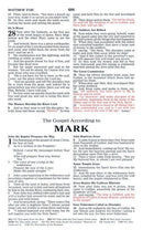 Thinline Bible - Brown