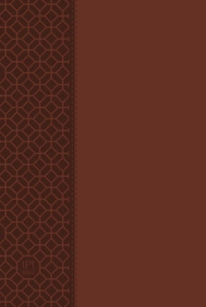 NT & Psalms, Proverbs, Song BrownLuxleat