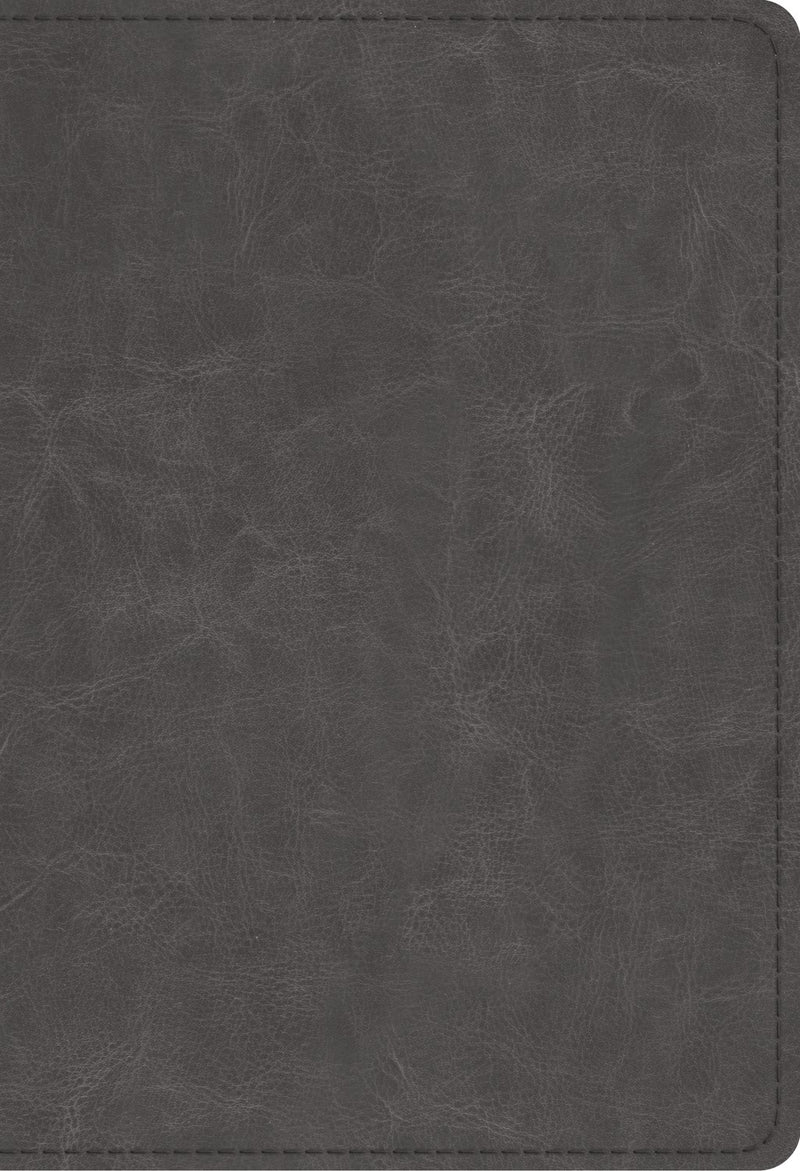 ESV Student Study Bible-Gray TruTone