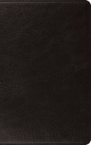 ESV Large Print Thinline Bible-Black Genuine Leather
