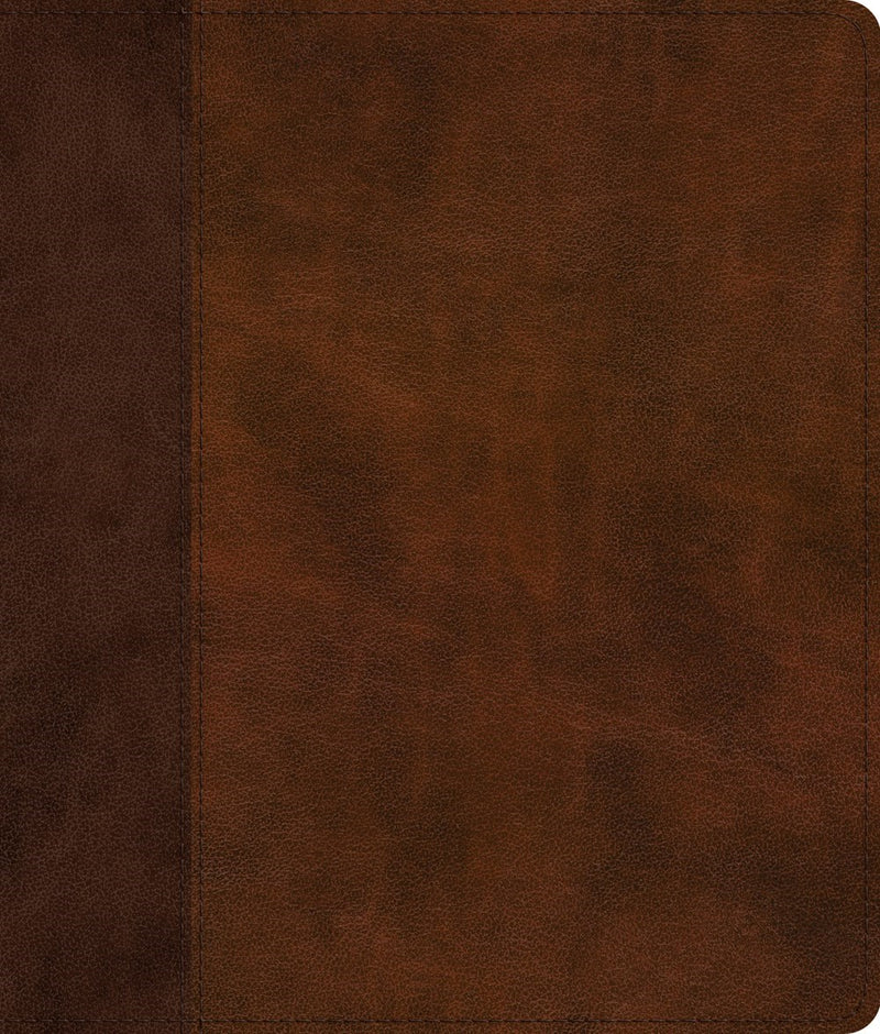 ESV Journaling Bible-Brown/Tan  Timeless Design TruTone