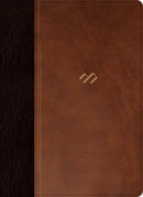 Span-RVR 1960 Thematic Study Bible (Biblia tematica de estudio)-Brown/Dark Brown LeatherTouch