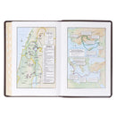 Large Print Thinline Bible - Brown